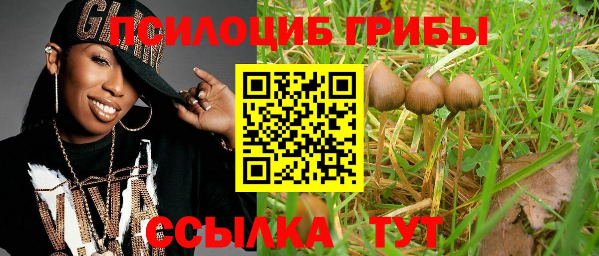 Калуга  Галлюциногенные грибы мухоморы  Вход с VPN 