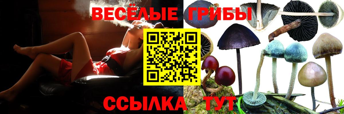 Галлюциногенные грибы мицелий Калуга